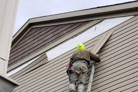 Best Fascia and Soffit Installation  in Hoffman Estates, IL